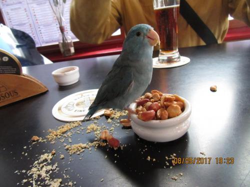 Нов. Ароматы 2 1573.JPG