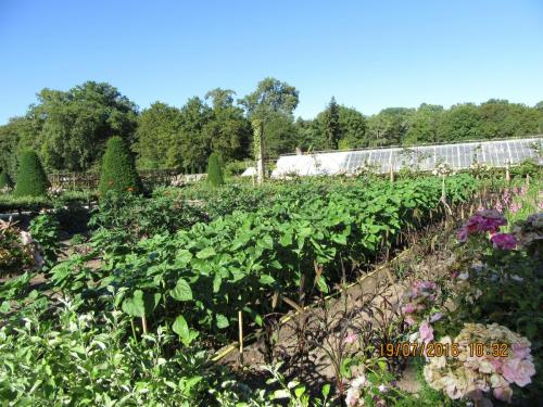 Великолепная Франция 2016 1231.JPG