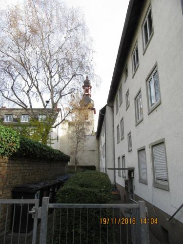 Божоле 2016 2221.JPG