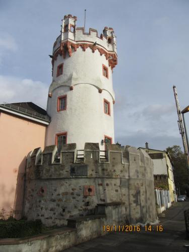 Божоле 2016 2256.JPG