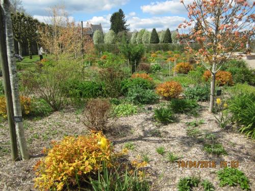 Ароматы, 11.04.2016 1279.JPG