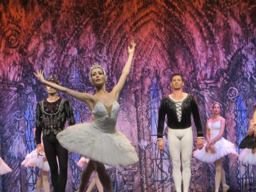 Лебединое озеро 211.JPG