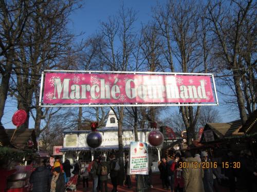 париж-2016-2017 477.JPG