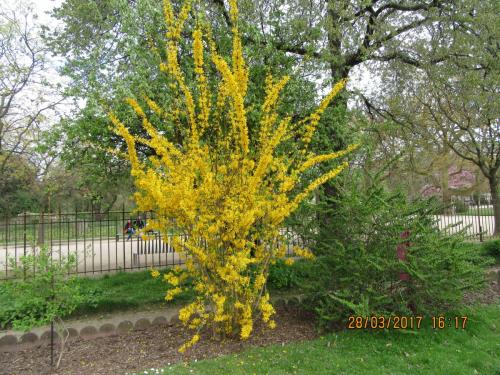 март, париж 1071.JPG