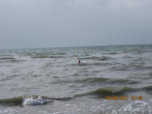 Нов. Ароматы 2 1177.JPG