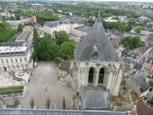 Ароматы 2 (2017) 1147.JPG