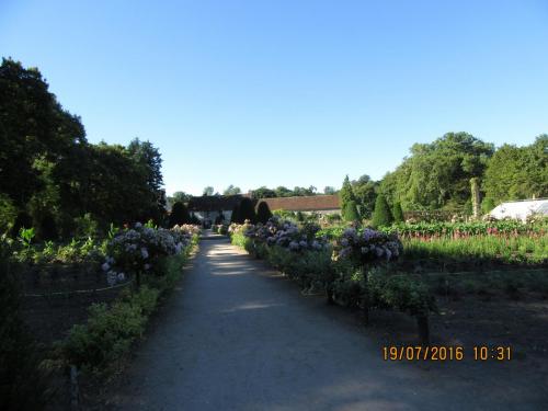 Великолепная Франция 2016 1230.JPG