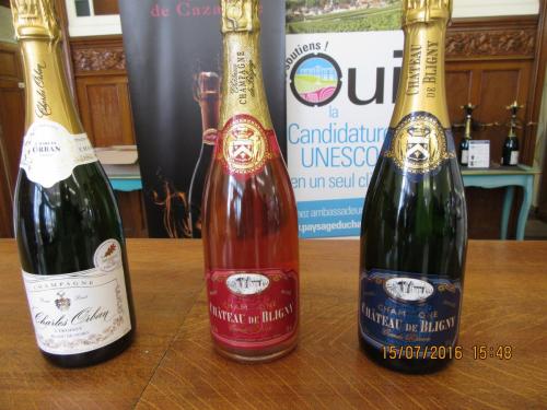 Великолепная Франция 2016 351.JPG