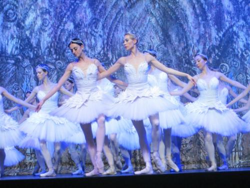 Лебединое озеро 174.JPG