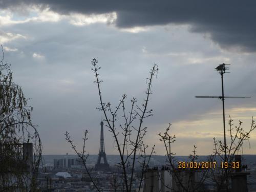 март, париж 1116.JPG