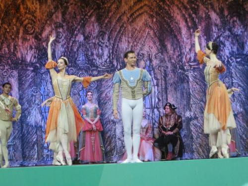 Лебединое озеро 031.JPG