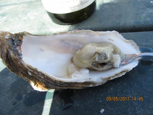 Нов. Ароматы 2 1863.JPG