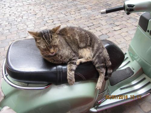 2GT 1 часть2016 552.JPG