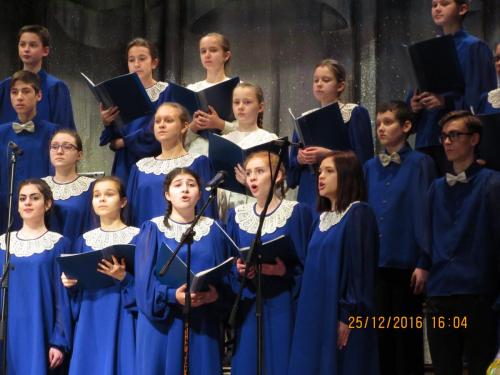 Мандрагора 082.JPG