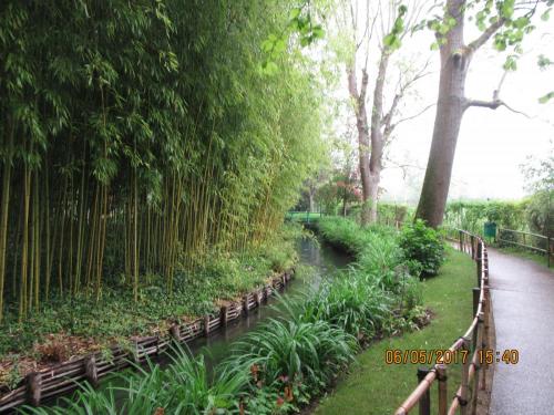 Нов. Ароматы 2 573.JPG