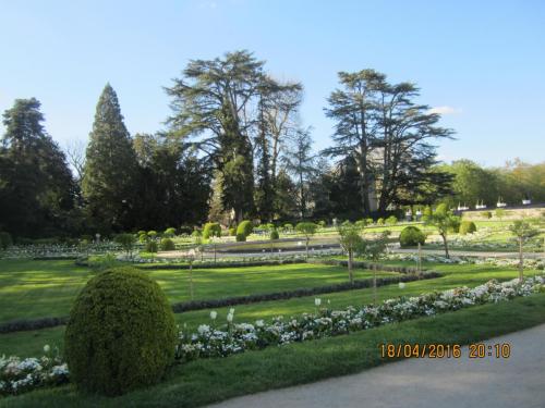 Ароматы, 11.04.2016 1464.JPG