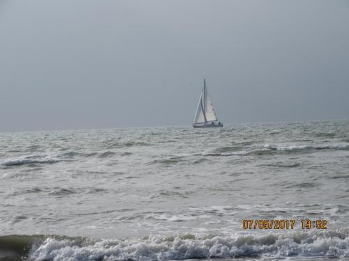 Нов. Ароматы 2 1192.JPG