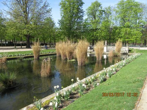 март, париж 1506.JPG