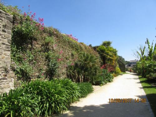 Нов. Ароматы 2 2183.JPG