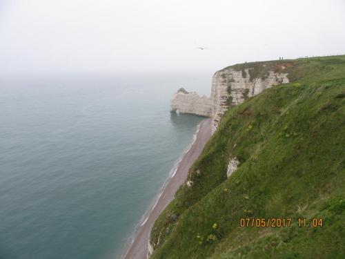 Нов. Ароматы 2 917.JPG