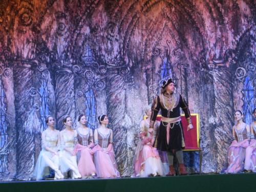 Лебединое озеро 121.JPG