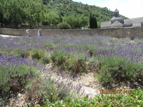 2 AS, 1 часть 2150.JPG