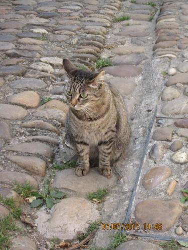 2 AS, 1 часть 530.JPG