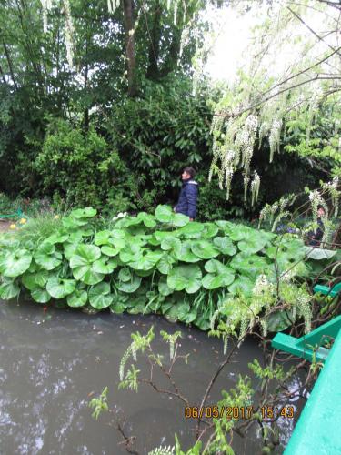 Нов. Ароматы 2 589.JPG