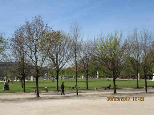 март, париж 1493.JPG