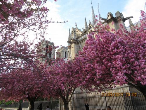 март, париж 2286.JPG