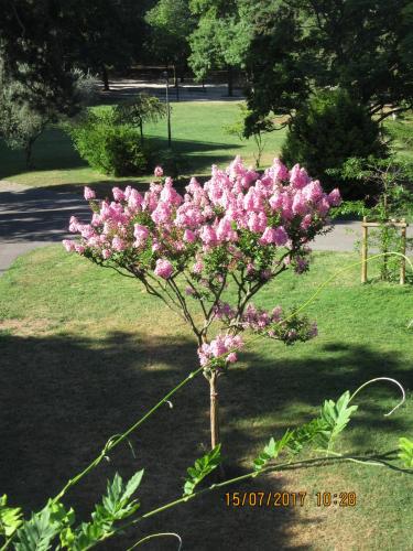 2 AS, 2 часть 244.JPG