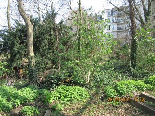 март, париж 163.JPG