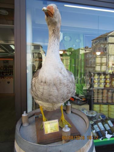 2GT 2016, 2 часть 055.JPG