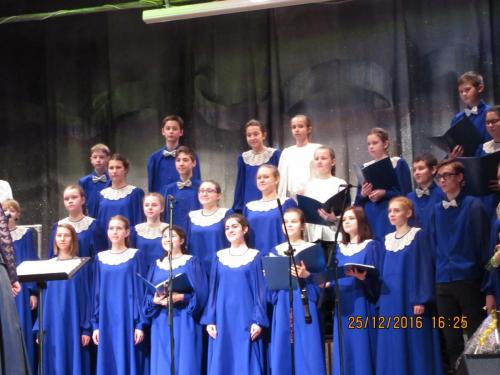 Мандрагора 116.JPG