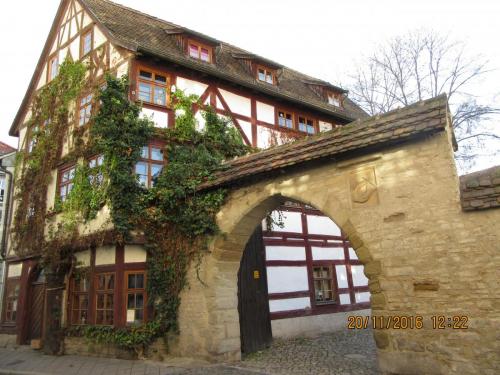 Божоле 2016 2439.JPG