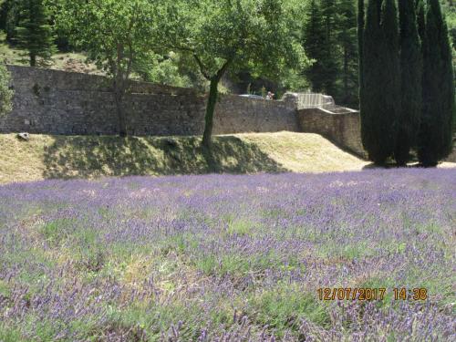 2 AS, 1 часть 2152.JPG