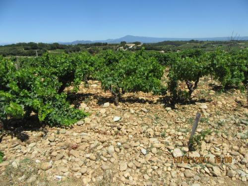 2 AS, 1 часть 2564.JPG