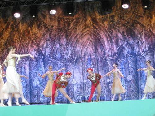 Лебединое озеро 021.JPG