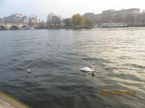 париж-2016-2017 670.JPG