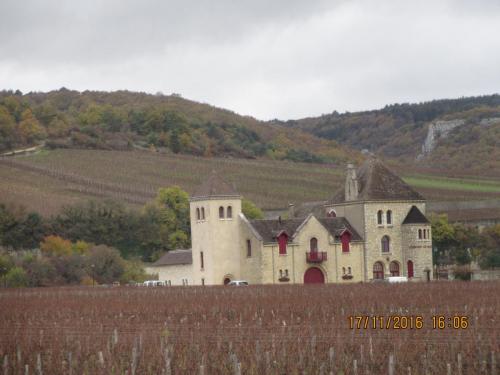 Божоле 2016 1428.JPG