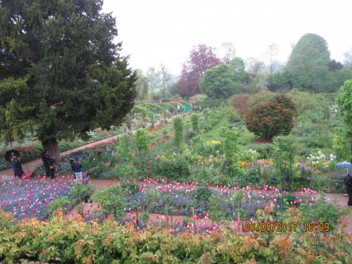 Нов. Ароматы 2 729.JPG