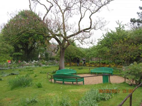 Нов. Ароматы 2 684.JPG