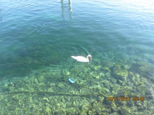 2 AS, 2 часть 196.JPG