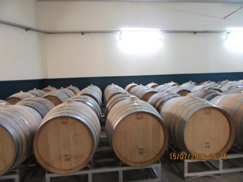 Великолепная Франция 2016 345.JPG