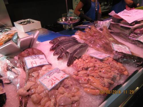 2GT 1 часть2016 1899.JPG