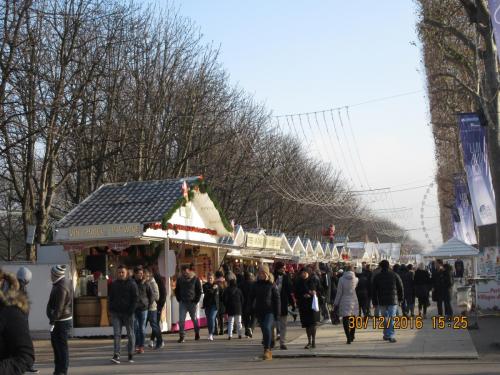 париж-2016-2017 466.JPG