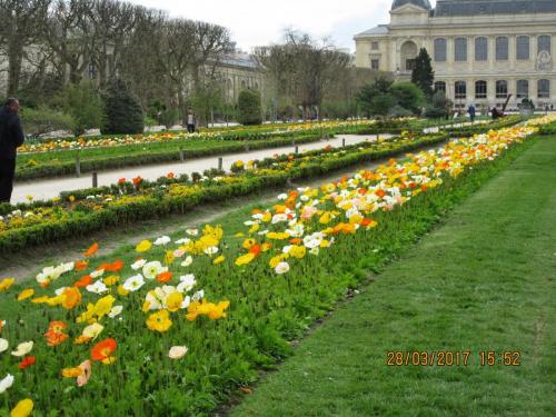 март, париж 1033.JPG