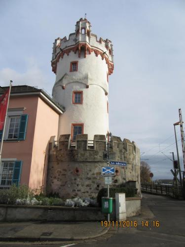 Божоле 2016 2254.JPG