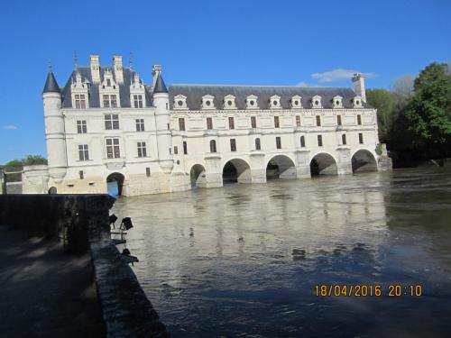 Ароматы, 11.04.2016 1462.JPG