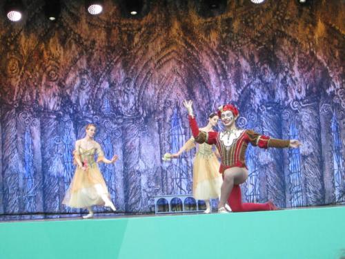 Лебединое озеро 019.JPG